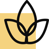 Natureza